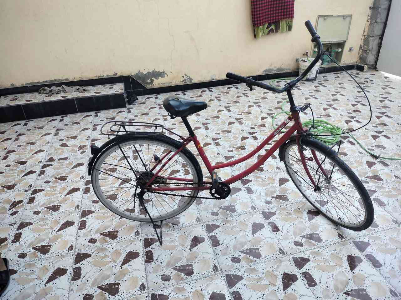 للبيع المكان بلدروز السعر 40بي مجال


**إذا كنت صاحب هذا الإعلان وتريد حذفه لأي سبب، رجاءا أرسل رسالة إلى الدعم الفني**