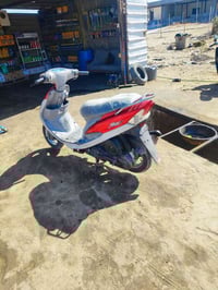 دراجة • ماكس منغولي • بابل حصوه سكندريه