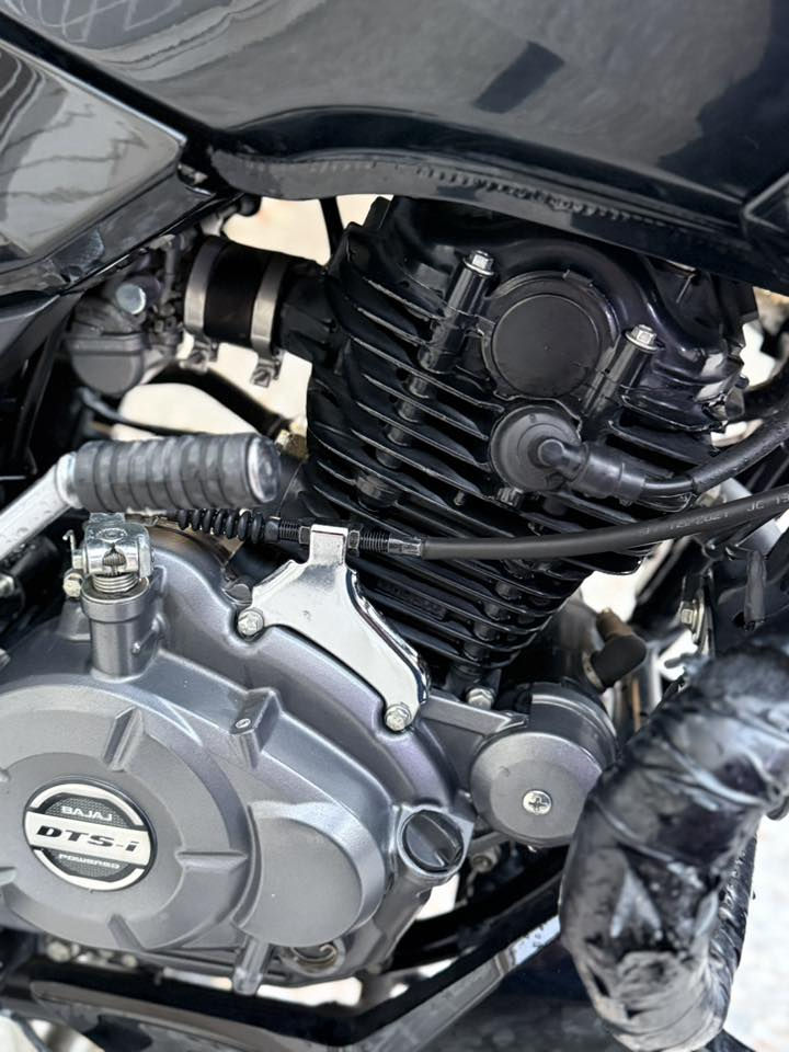 سلام عليكم بولسر نيون محرك 150 سيسي كفاله عامة وراق كامله 
مكاني بغداد 
سعرها  1500 مليون وخمسمائة 
وبيه مجال حك الجية
 تصال او واتساب ***********
