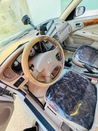 صني • قطع صبغ • حزام