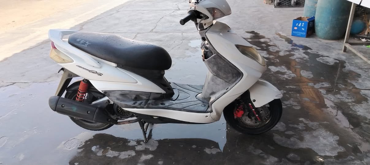 سكنس فحل مكفوله للبيع مكلف بلنشر
‭***********‬
