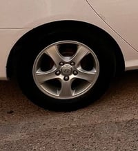 تخم ويل كب الانترا مقدس السعر 170وبيهن مجال 07706224888