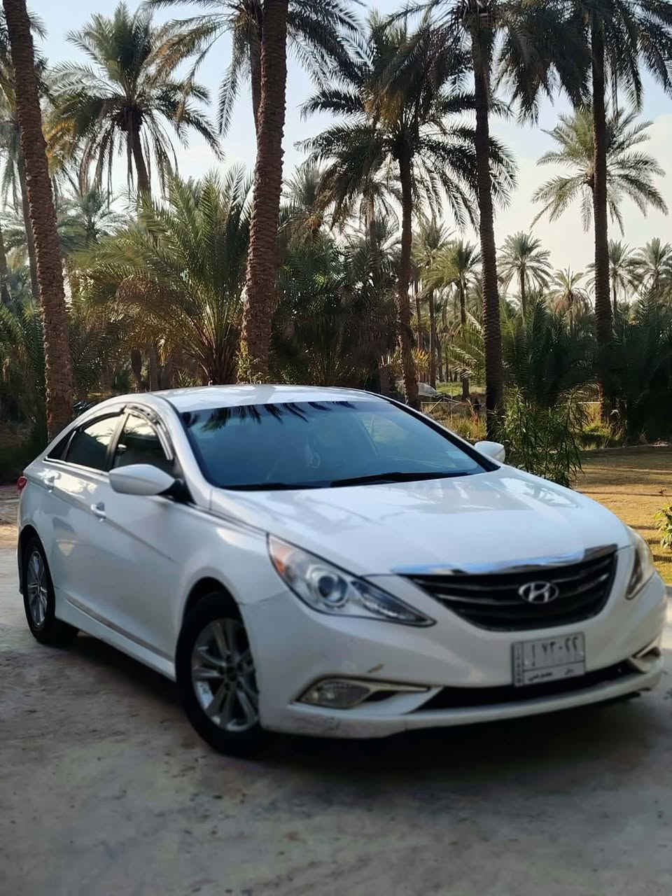 سلام عليكم سوناته 14 
حادثة جاملغ امامي وباب سايق صبغ فقط وباقي على وضع شركه ماشيه 116 مكينه خير من الله ما مفتوحه حداديه خير من الله سعر 114 رقم نكليزي بابل قبل سبوع داورته وهزه وجاهزه على اخر حبايه مكاني بابل نيل ***********
