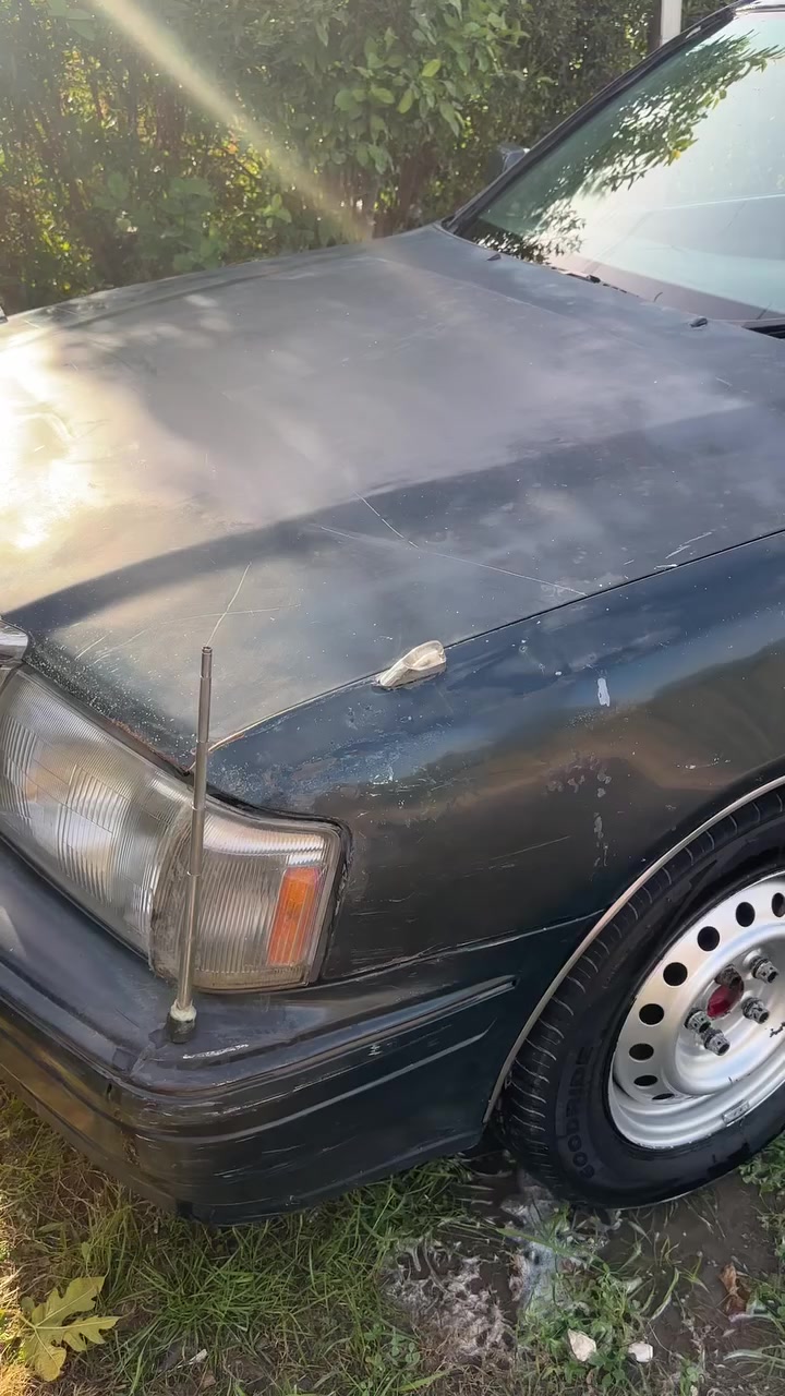 راس الثور بيه تداخل صاحبهه الشرعي موجود حاضر للبصمه السعر 45 مكاني الديوانية المهناوية ***********
