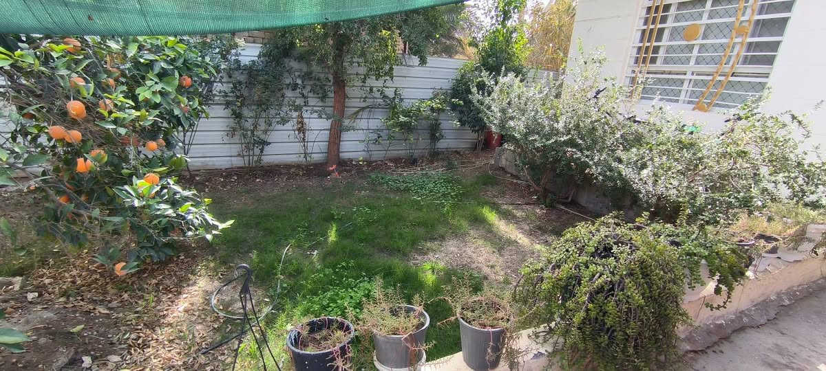 دار للبيع بسعر قطعة ... مع الأثاث أو بدونه ... تسليم مباشر عند البيع او خلال فترة قصيرة جدا
طابو زراعي سند 25
المساحة: 285م الواجهة 10م (تحت البناء 120م غرفتين نوم، استقبال، صالة، مطبخ، صحيات وباقي المساحة حديقتين وكراج سيارة كبير
الموقع: الجهة المقابلة لفندق البارون/ عمود 84
السعر: 175 وبي مجال للشراي

للإستفسار ***********
