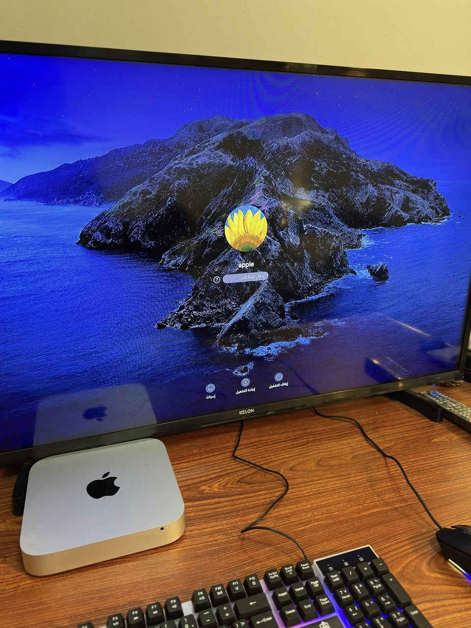 Mac mini
2014 
i5 2.6 GHz
Ram 8 
Ssd 256 
نضام macOS Monterey 
جهاز فائق السلاسه كلش سلس و قوي 
مكاني بغداد البياع حي الشرطه شرطه الرابعه 
سعره  200 و بي مجال بسييط 
***********
