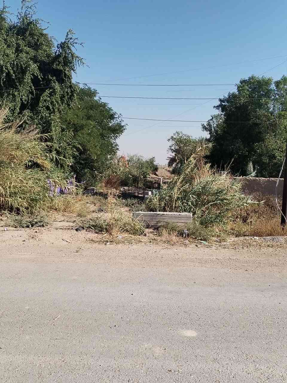 اسلام عليكم أرض زراعيه للبيع ١٤ دونم موجود كل الخدمات مي أساله و سقي وكهرباء و مولده سحب و مدرسه و تبليط دار سكن واسط العزيزيه السعر ولستفسار *********** ***********
