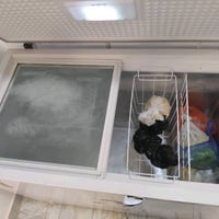 مجمدة • بها مجال • التراث شارع ٤٠