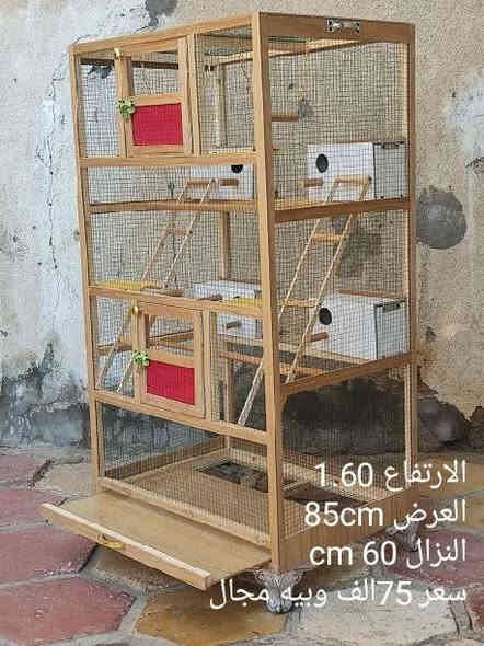 للبيع ثلاثه اقفاص غير مستعمله عمل نجاره جديده قياساتهن موجوده داخل الصور مع اسعارهن وبيهن مجال عنوان ناصرية حي اور خلف جامع الحسن *********** يوجد واتساب
