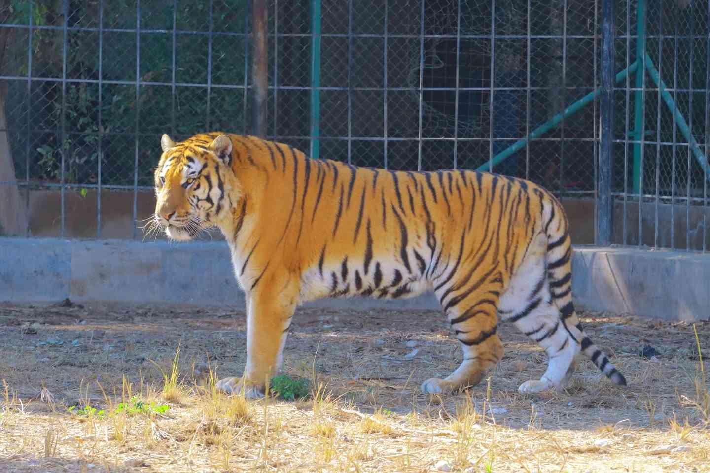 بمناسبة شهر رمضان المبارك متنزه الزوراء يفتتح ابوابه يوميا وعلى مدار الاسبوع من الساعه الــ9 ىصباحا ولغاية ساعات متأخرة من الليل ..
اهلا وسهلا بكم .


**إذا كنت صاحب هذا الإعلان وتريد حذفه لأي سبب، رجاءا أرسل رسالة إلى الدعم الفني**