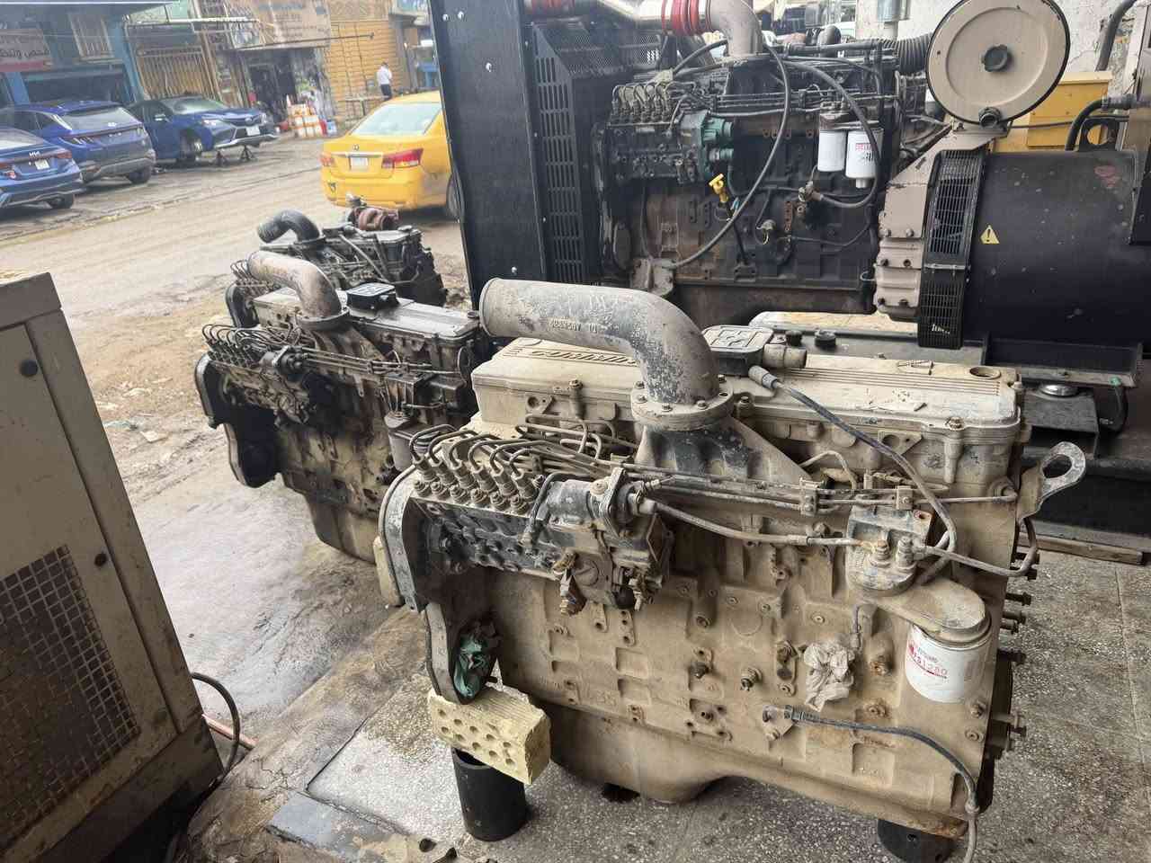 سلام عليكم متوفر كمنز "114 24 ولف  يبخران  المكان كراده 52. التصال***********
