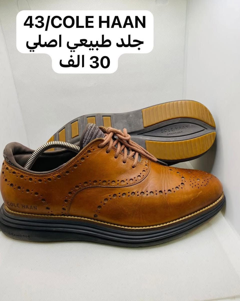 #معرض_الحذاء_الأوربية
#فتح_الجمعة_من_كل_اسبوع
#الجمعيه_مقابل النافورة ⛲️مجاور ماي هاوس🏠✨✨✨✨✨✨✨✨✨✨✨✨✨✨#ومستخدم_نظيف_مختلف الماركات 
#اورجينال_اصلي
العالميةاديداس&بوما&نايك&سكجرز&ايكو&ازيكس #رياضي    بابل شارع الجمعية مجاور ماي هاوس مقابل أميرة باشاللاستفسار ***********#متوفر_توصيل 🚚 لجميع محافظات العراق 🇮🇶
