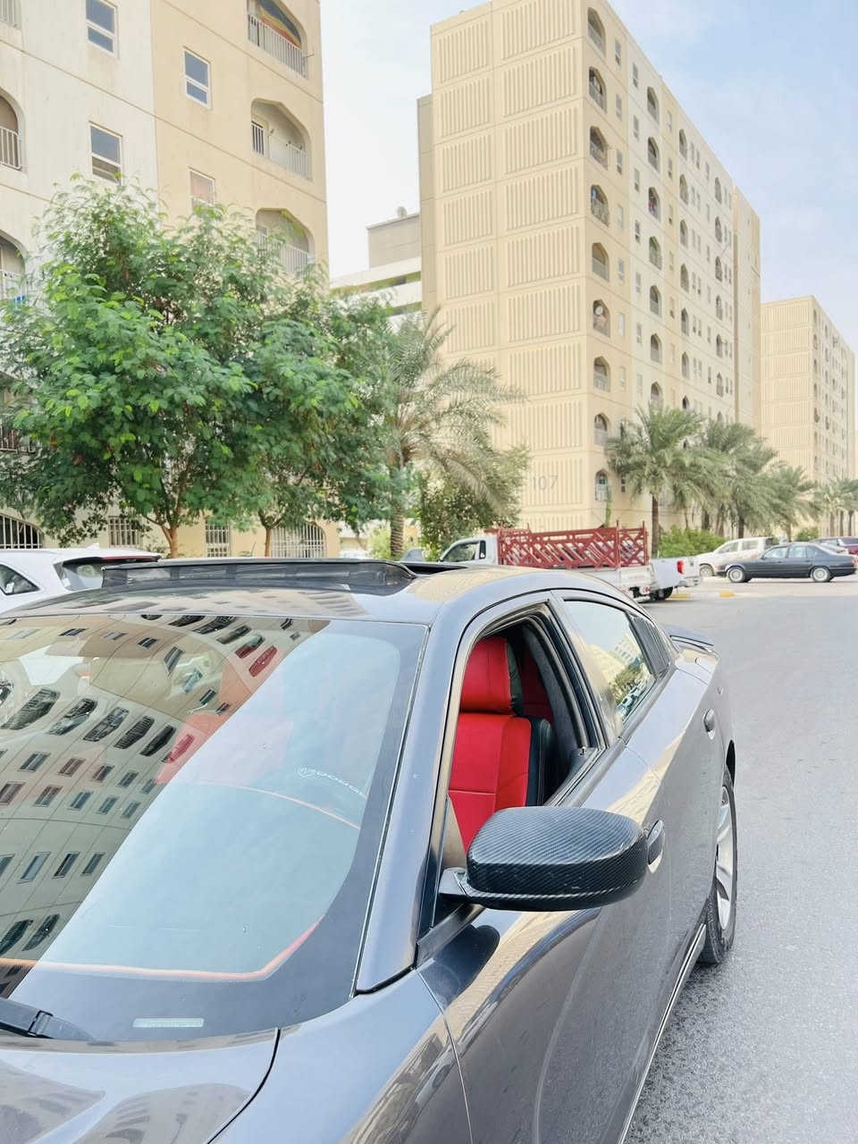 ١٣ فول الفول بدون ارباك استخدام شخصي *********** بي واتس
