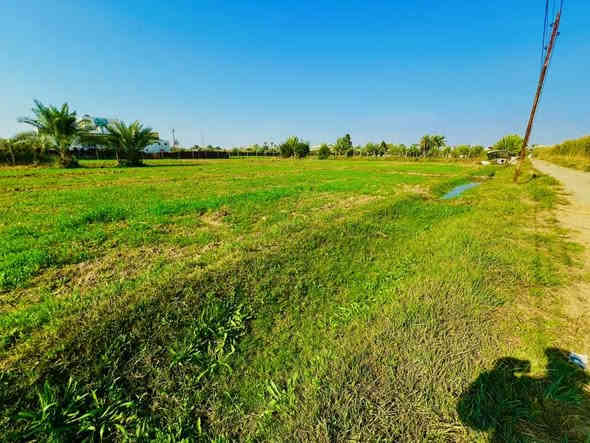 السلام عليكم  
قطعة ارض 4 دونم مع بيوت عدد 2 للبيع 
الواقعه في الحيدري بيت سعد البعيجي 
قرب ثانوية الحيدري المختلطة
الارض عقد 125 مساحة 4 دونم
الارض تحتوي علئ 
بيوت عدد 2
حديقة كبيره واجهة البيتين
سياج سيم BRC محيط القطعة
موطور هندي فلاوين 
موطور كهربائي ابو ال 3
مولد فلاوينين 16 احصان راس توليد سنكل 40A
الشارع قشط تبليط
و باقي التفاصيل موضحة في الصور من اشجار و نخيل التربة خير من الله حلوه 
للاستفسار عن السعر او اي تفاصيل اخرى الاتصال 
***********
***********
