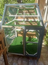 قفص • الجوزي • الاخضر