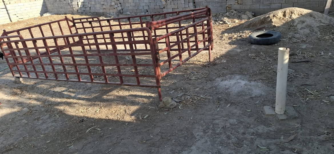 ***********
سلام عليكم محجر كنتر للبيع جديد اقل سنه مستخدم 
ديوانيه عفك
