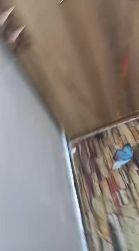 غرف نوم تركيه كامله خمس قطع  وثانيه ست قطع


**إذا كنت صاحب هذا الإعلان وتريد حذفه لأي سبب، رجاءا أرسل رسالة إلى الدعم الفني**