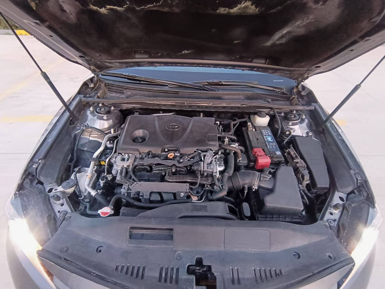 TOYOTA KAMRI   2018   تویوتاکامری 
*********** 
نمونە لە جوانیا 
69هەزار رۆشتوە 
گیرو مەکینەی بەشەرت نەکراوەتەوە
زۆر تندو تۆڵ و بێ مسروفە 
بەناوی خۆمانەوەیە   تحویل و غرامە بەشەرت 
بۆنیدو چملغ بۆیاخە ناوی نەگرتوە 
ژمارەی شاسیم داناوە 

***********
***********
سلیمانی  ڕاپەرین السليمانية, العراق
