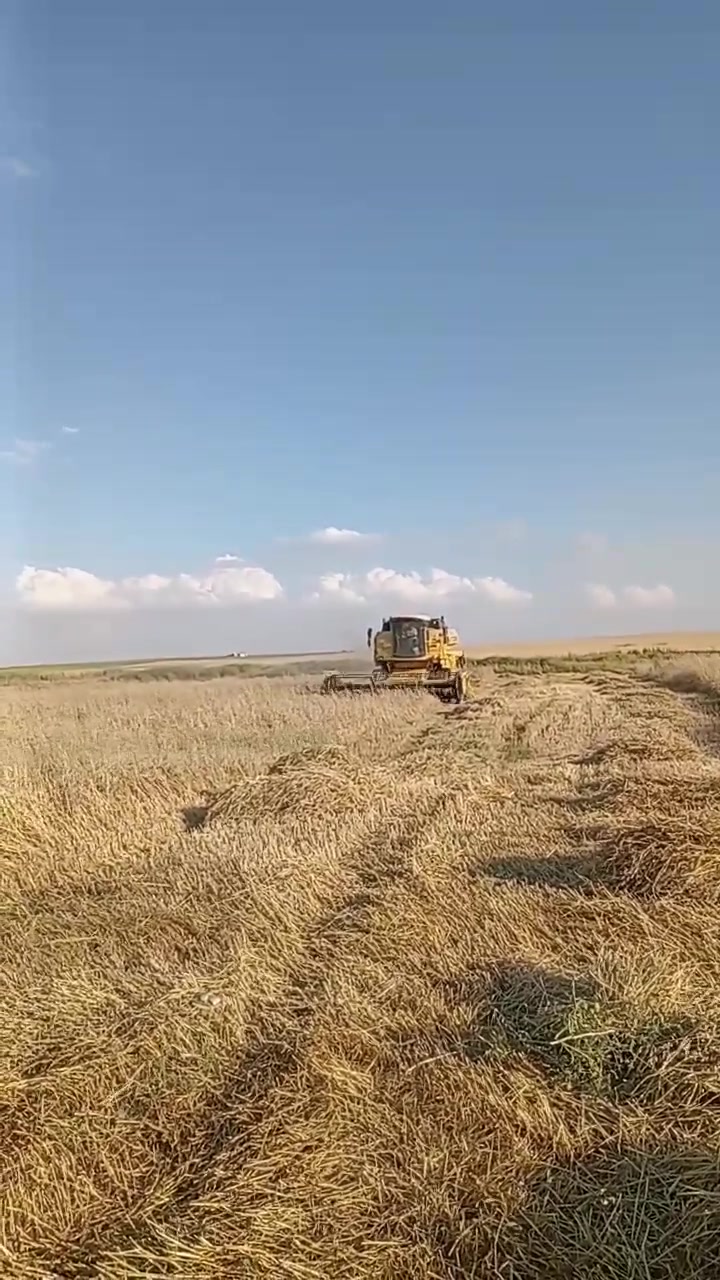 حاصده نيوهولند ٢٠٠٢ أوربي دخول ٢٠٢٥ ارقام اربيل دولي مكفوله كفاله عامه للبيع ***********حاليا تشتغل بدهوك
