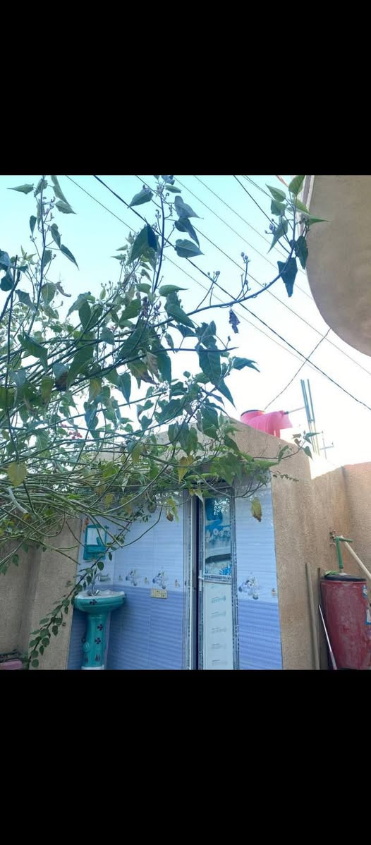 يوجد منزل للبيع طابو زراعي في كربلاء قضاء الجدول الغربي للرجيبه خلف مطعم سيد علاء وابو ازهر المحامي 
***********
