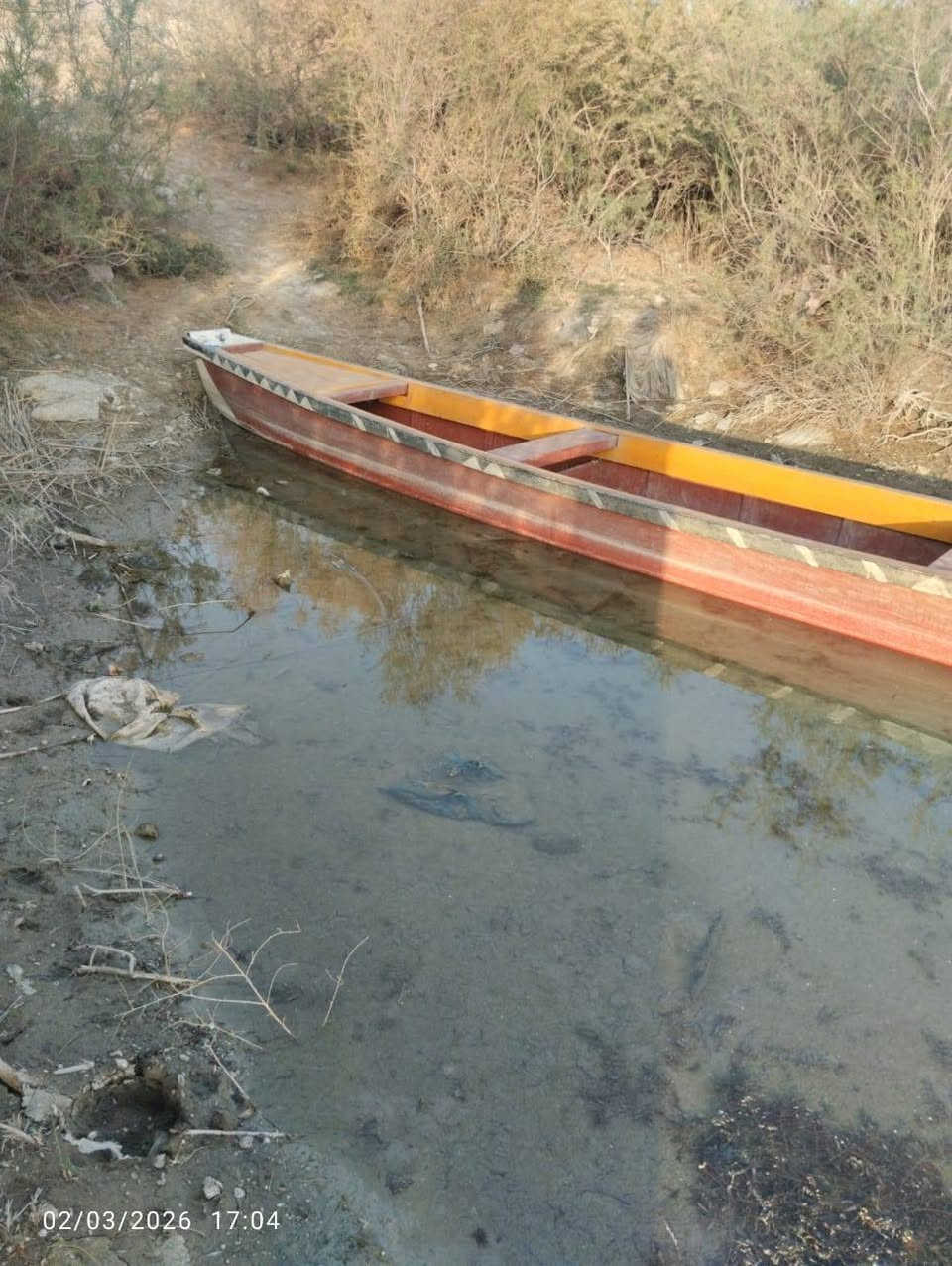 سلام عليكم ورحمة الله وبركاتة بلم للبيع السعر950وبيه مجال العنوان ذي قار قضاء الجبايش ناحية الحمار للاستفسار الاتصال على الرقم ***********
