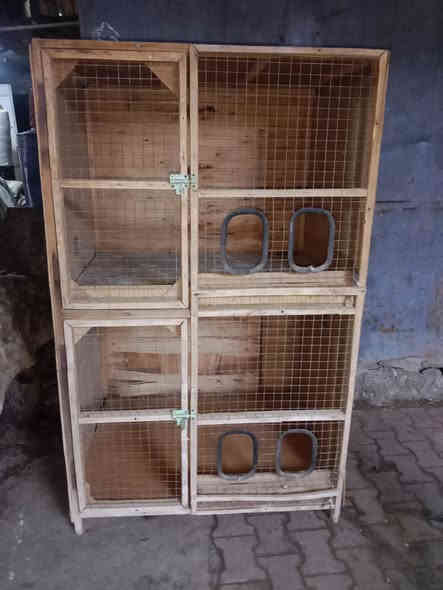 السلام عليكم ثلاجه 14 قدم اخت الجديده للبيع السعر 400 أو بيهه مجال بسيط.  دراجه للبيع ابيعك عطلانه السعر 100 بيهه مجال. خانات مال دجاج للبيع اب 50   ***********
