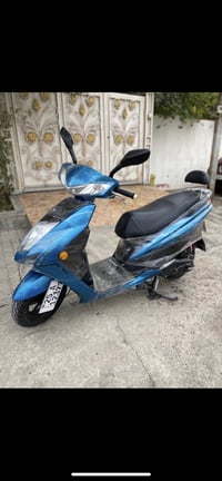 ماكس سكنس • ياباني • مرقمه