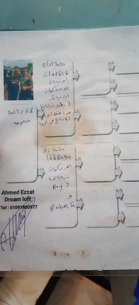 بإذن الله هنبدأ المزاد اليوم الساعه 6 مساء
https://chat.whatsapp.com/FpcwKzwyI1EEXj0k0qRgMz?s=cl&p=a&mlu=0

السلام عليكم ورحمة الله وبركاته 🌷

طفره مزاد اليوم  الاسطوره  🌟روبيرتا 👌 منجم الذهب

من إنتاج الفتي الذهبي أحمد عزت 

وكانت من استوكات بطل المنيا احمد صلاح 

سباق برشلونه الصعيد 

منتجه لاكتر من بطل 

✍42 منفلوط 

✍٢٩ منفلوط 

✍٤٤ طهطا

✍٤١ اسيوط

✍٦٧ طهطا

✍٤٠ طهطا

✍١٤ اسوان فرع

✍٦٣ اسوان تجمع 

✍١٠٤ طهطا 

✍٧٢ اسوان تجمع 

✍١٠٦ ابو طشت

🌟🔥الاب انتاج البطل البلچيكي چوس كوووولز من

ابن ايميل و  اوكتافيا افضل زوج منتج في لوفت چوس كووولز اجداد شير امي و ريمكو و راكيت و بريموس معظم ابطال چوس كووولز من احفاد هذا الزوج الذهبي استاف بوكمانز عنده طيرين احفاد هذا الزوج كسبانين مرتين اول ايس علي تينفيربوند اقوي مقاطعه في سباقات السرعه في بلجيكا 🇧🇪🚀🚀 و علي جروبيندونك 👌👌👌

الشهير  رميكو 

أول ايس بجن 2018 فئه الصغار على مقاطعات وانديه السرعه الأشهر في بلجيكا

ثاني وثالث أيس بجن في معدلات السرعه على الاتحاد البلجيكي 2018

وبطل في عدد كبير من سباقات السبرنت القصيره🔥

Youngster direct from ' Remco ' 

1. acebird YB Grobbendonk 2018 

1. acebird YB Tienverbond 2018 

2. prov . young acebird speed KBDB 2018 

3. Nat . acebird speed YB KBDB 2018 

1. Quievrain 1,245 birds Also winner 2. - 3. - 4. - 5. - 5 . prize 

🌟🔥 الام   فرخ اير كامب هولندا هرمن كوستر جده ٧٠٠٢ ٢٠٢١ كسبانه

اول على ٢٠٢٠ حمامه

تالت على ٢٢٥٠ حمامه

٢١ على ١٧٥٠ حمامه

ابوها* فات يورو ابن اليورو مباشر على روز بنت روسي على كاتودجي بنت نيو أولمبياد وأم فيت بلو جاكبوت

اليورو كسبان

اول آيس على النادي ٢٠٠٤

اول ناشونال آيس شورت ٢٠٠٣

اول ناشونال آيس شبابات ٢٠٠٣

اول على ٢٦٨٧ حمامه

اول على ٢٥١٦ حمامه

روز جده

5 كسبانين في سباق بايونير ٢٠١٦

4 كسبان في سباق بايونير ٢٠١٧

اول ٥٠٠ ك على ١٢٠٠٠ حمامه

اول في سباق بايونير ٢٠١٨

من أفضل طيور طارت في نقطه المليون دولار

روسي كسبان

اول على ٩٠٤١ حمامه

اول على ٦٢٩٧ حمامه

امها* روبيرتا اخت الاسطوره ٢٠٠٩ وجده الكثيييييير من الابطال منهم

اول على ٣٥٥٩ حمامه

اول على ٣٠٧٢ حمامه

اول على ٢٣٦٠ حمامه

اول على ٩٩٦ حمامه

اول على ٤٠٣ حمامه

اول على ٣١٦ حمامه

اول على ١٠٥ حمامه

بنت زي ريبرتو على هيلاري 

زي ريبرتو جد

اول بروفيشنال آيس شورت سنه ٢٠١٣.

تاني بروفيشنال آيس شبابات سنه ٢٠١٥

اول على ٣٥٤٩ حمامه

اول على ٧٧٣١ حمامه

اول على ٥٦٨١ حمامه

اول على ٤٣٩٦ حمامه

اول على ١٦٢٦ حمامه

اول على ١٢١٦ حمامه

هيلاري ام

اول على ٥٦٨١ حمامه

اول على ٤٣٩٦ حمامه


**إذا كنت صاحب هذا الإعلان وتريد حذفه لأي سبب، رجاءا أرسل رسالة إلى الدعم الفني**