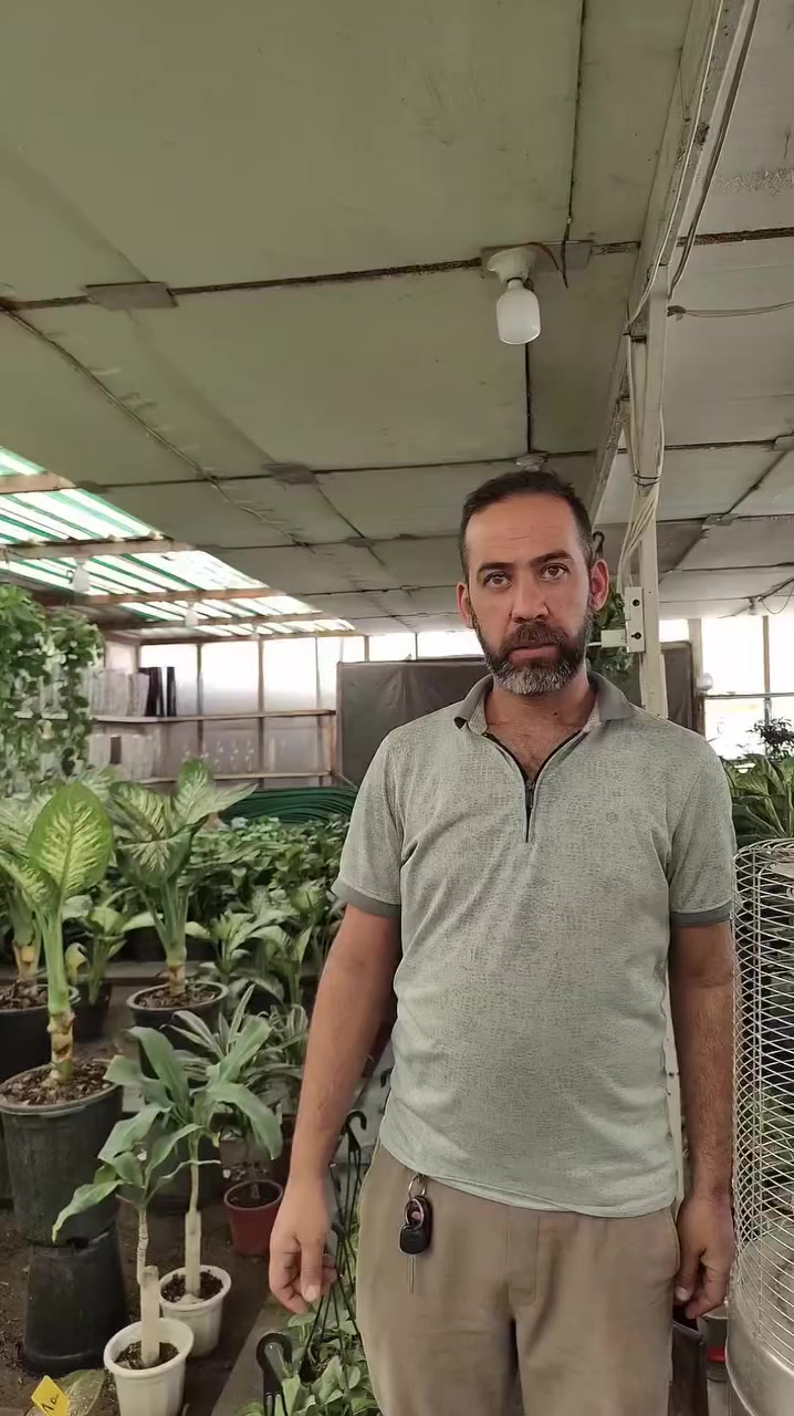 رجع عرض اللبلاب 3 ب 5 بس 🔥🔥🔥 
العنوان: حلة حي الصحة شارع كورنيش
للتواصل ضرغام : ‏‪0782 884 2289‬‏
علي خلدون: ***********
https://maps.app.goo.gl/MrkK44hPhZ3qJYfC9
