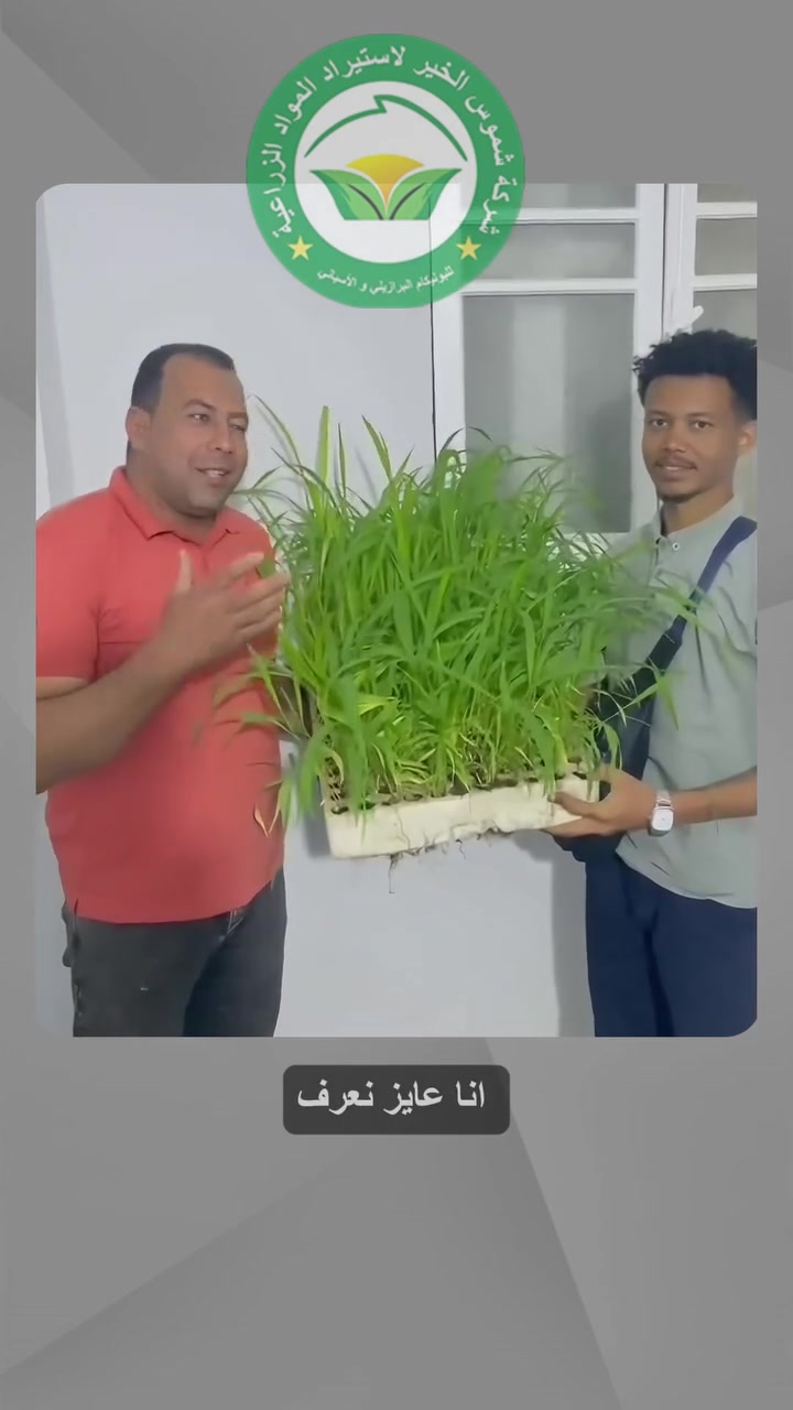 لما يكون المنتج بيتكلم عن نفسه، الثقة بتعدي الحدود! 🌍🌱

منورنا الأستاذ عمر من السودان الشقيق في فرعنا، عشان يشوف جودة شتلات البونيكام على الطبيعة.

🔹 نسبة إنبات تصل لـ 95%.
🔹 مستمر في الأرض من 7 إلى 10 سنوات.
🔹 مقاومة عالية للملوحة وتكيف مع مختلف الأراضي.

شكراً لثقة عملائنا داخل وخارج مصر. للطلب والاستفسار، تواصلوا معنا مباشرة عبر رسائل الصفحة أو الواتساب. 📲

للتواصل فون 

01036183692

01120599824

#بونيكام #ثقة #الزراعة_الذكية #أعلاف #السودان #مصر


**إذا كنت صاحب هذا الإعلان وتريد حذفه لأي سبب، رجاءا أرسل رسالة إلى الدعم الفني**