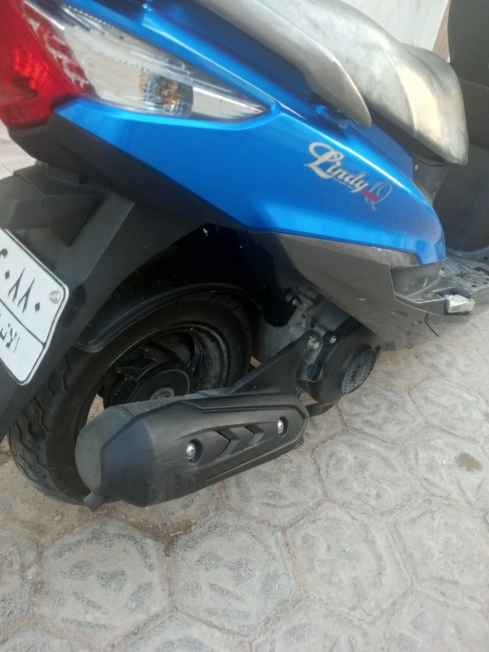 للبيع هاوجي مسجل السعر 13$ونص
***********
