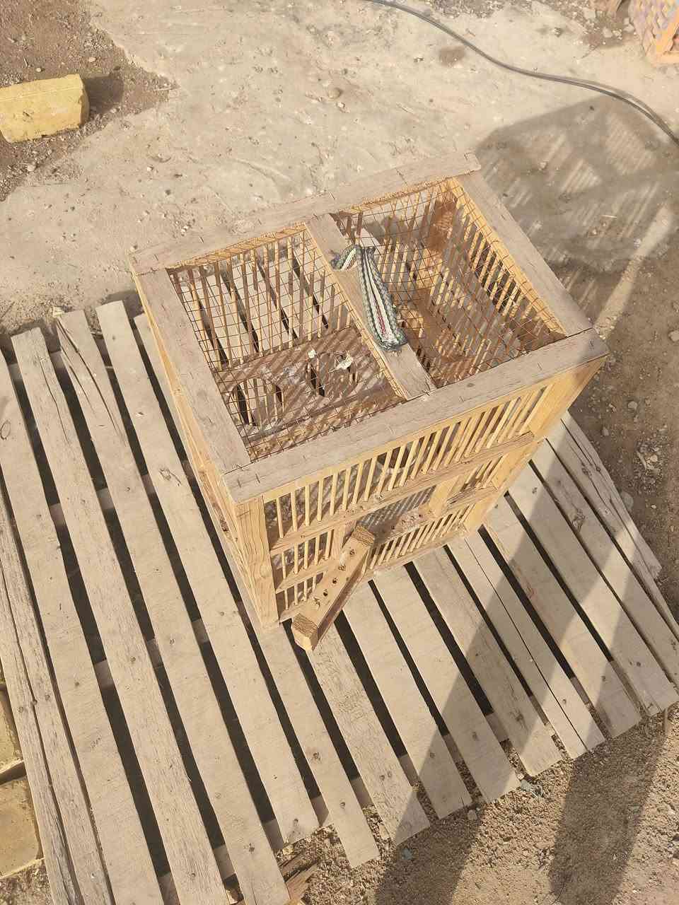 سلام عليكم قفص مال بلابل للبيع ب25وبي مجال لخاص مفتوح


**إذا كنت صاحب هذا الإعلان وتريد حذفه لأي سبب، رجاءا أرسل رسالة إلى الدعم الفني**