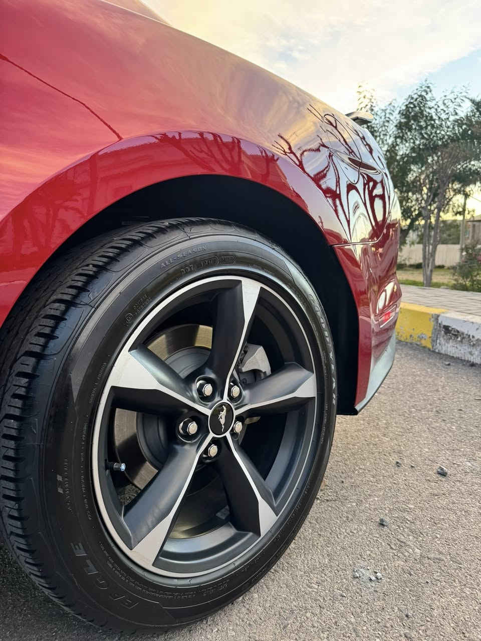 للبيع
‏Ford Mustang EcoBoost 2023
لون احمر غامق كلش مميز 
الحادث تعديل بارد فقط وصبغ بنيد بدون ايرباكات وبالفحص طلع بيهه كلير امريكا جاملغ وباب  
- السعر:  192 ورقه وبيه مجال بسيط 
- *مرقمة أربيل الرقم الجديد 
- الممشى: 18،000  فقط  
- المحرك: 2.3L Turbo  اربعة سلندر 
- 5 وضعيات قيادة  
-بصمة تشغيل 
- شاشة جبيرة تدعم Apple CarPlay 
-تبريد منفصل 
-كاميرا خلفيه دواره
-حساس خلفي 
-تحكمات ستيرن 
-مانع تصادم
-محدد مسار 
-تصحيح مسار 
-مانع انزلاق 
-حساس دخول الانفاق 
-مثبت سرعة 
- نظام رادار أمامي + جانبي + خلفي  
-جام فول اوتوماتك 
- تحديد مسار + نظام تتبع + تحديد مسافة أمان  
-دخول ذكي 
-كشنات كهرباء 
- لايتات زينون أصلية   
موقع السيارة: أربيل
 ***********
‏1fa6p8th6p5112715
