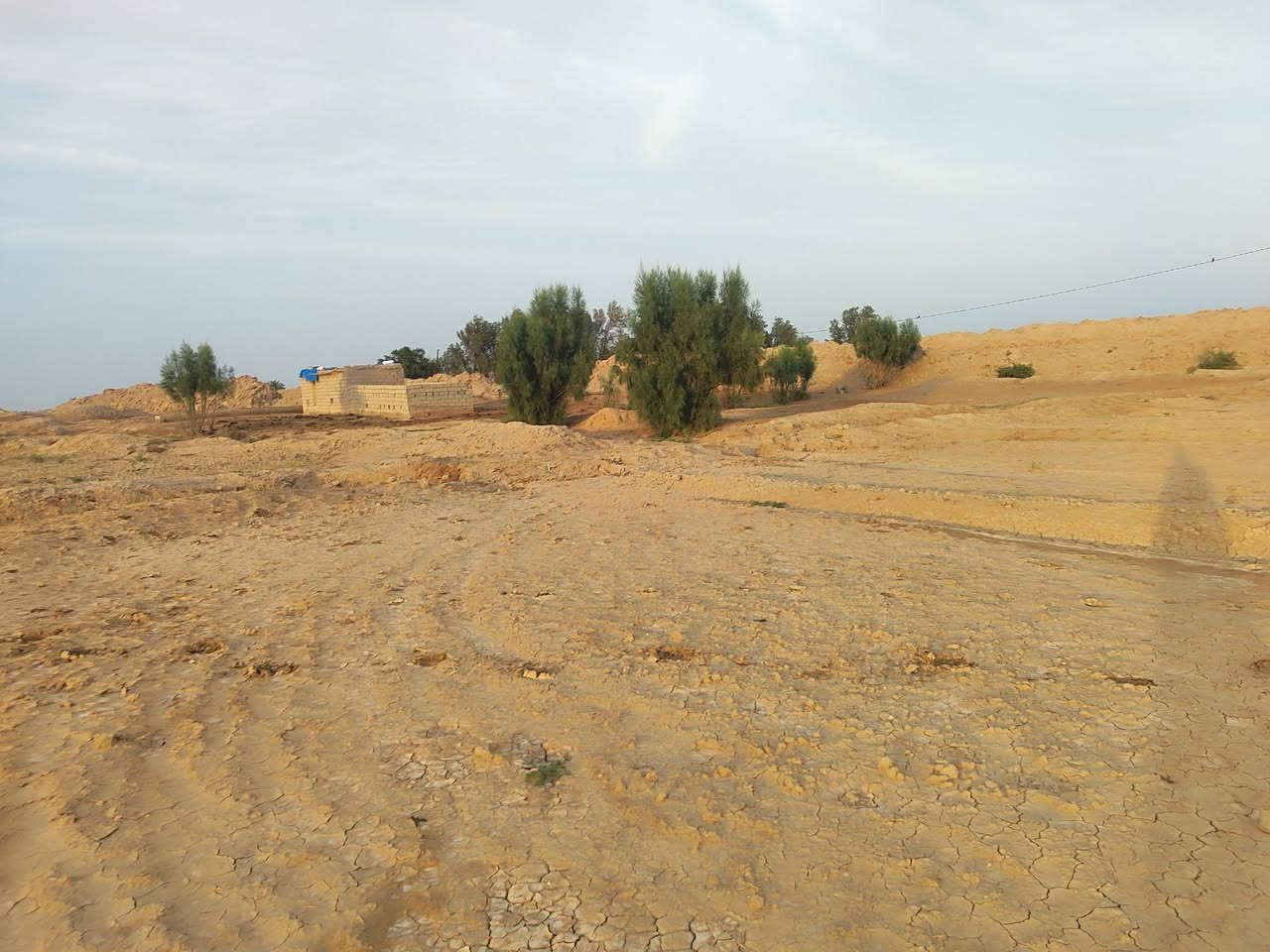 أرض زراعية للبيع المساحه 40 دونم صالحه للزراعه 

الاستفسار اتصل على هذا الرقم ***********

في بابل ناحية الشوملي
