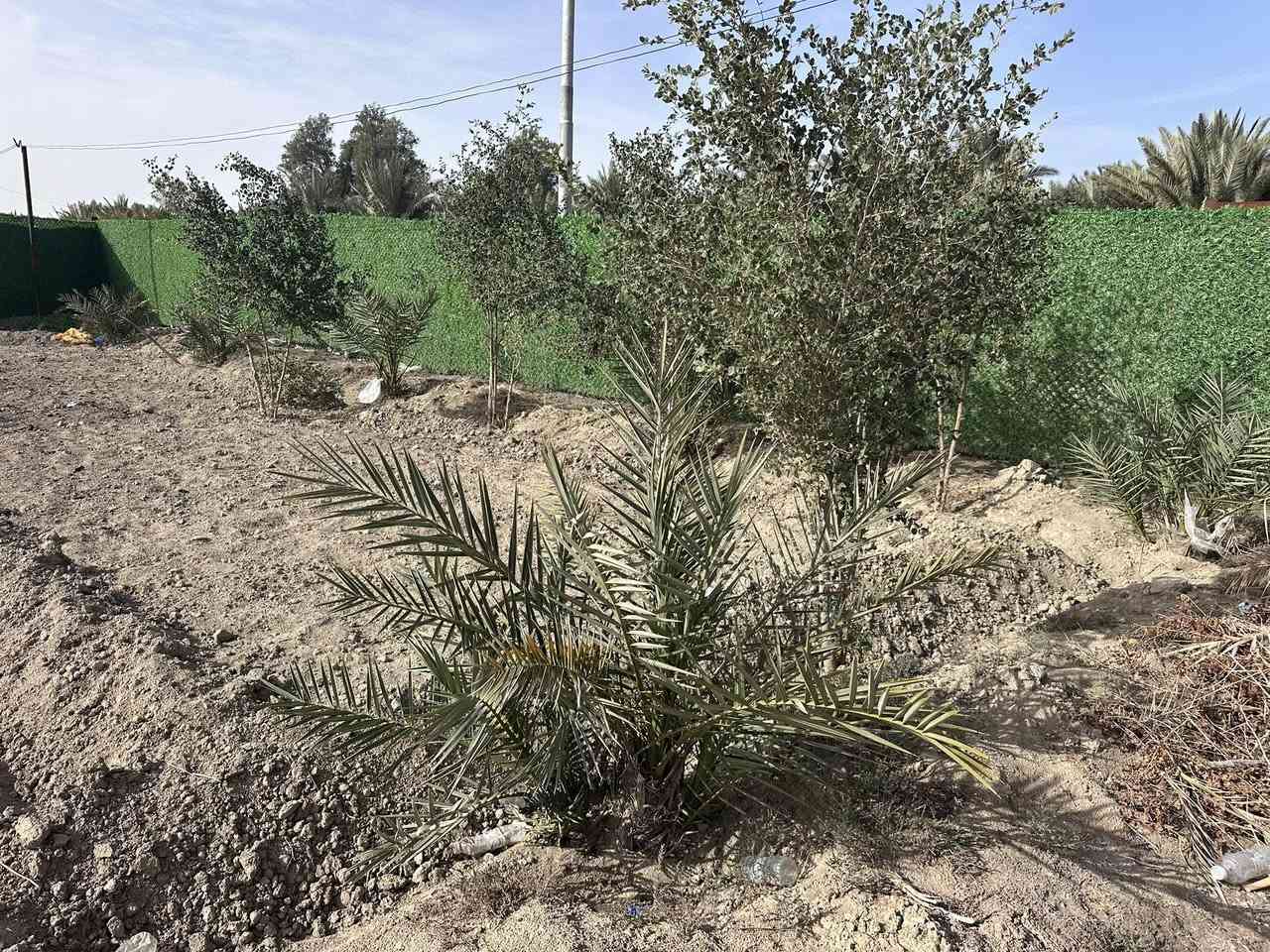 للبيع مزرعة مميزة على طريق تل لحم
📐 المساحة: 3 دونم ونصف
📍 الموقع: موقع ممتاز وسهل الوصول
🌳 مناسبة للاستثمار الزراعي أو الاستراحة
💧 تتوفر مقومات الزراعة (يُذكر إن وُجد ماء/أشجار/سياج)
افضل أنواع نخيل  🌴 

السعر مناسب وقابل للتفاوض
📞 للاستفسار والتواصل: (رقم الهاتف
***********
***********@
