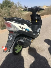 ماكس منغولي • عدله • ويل رياضي