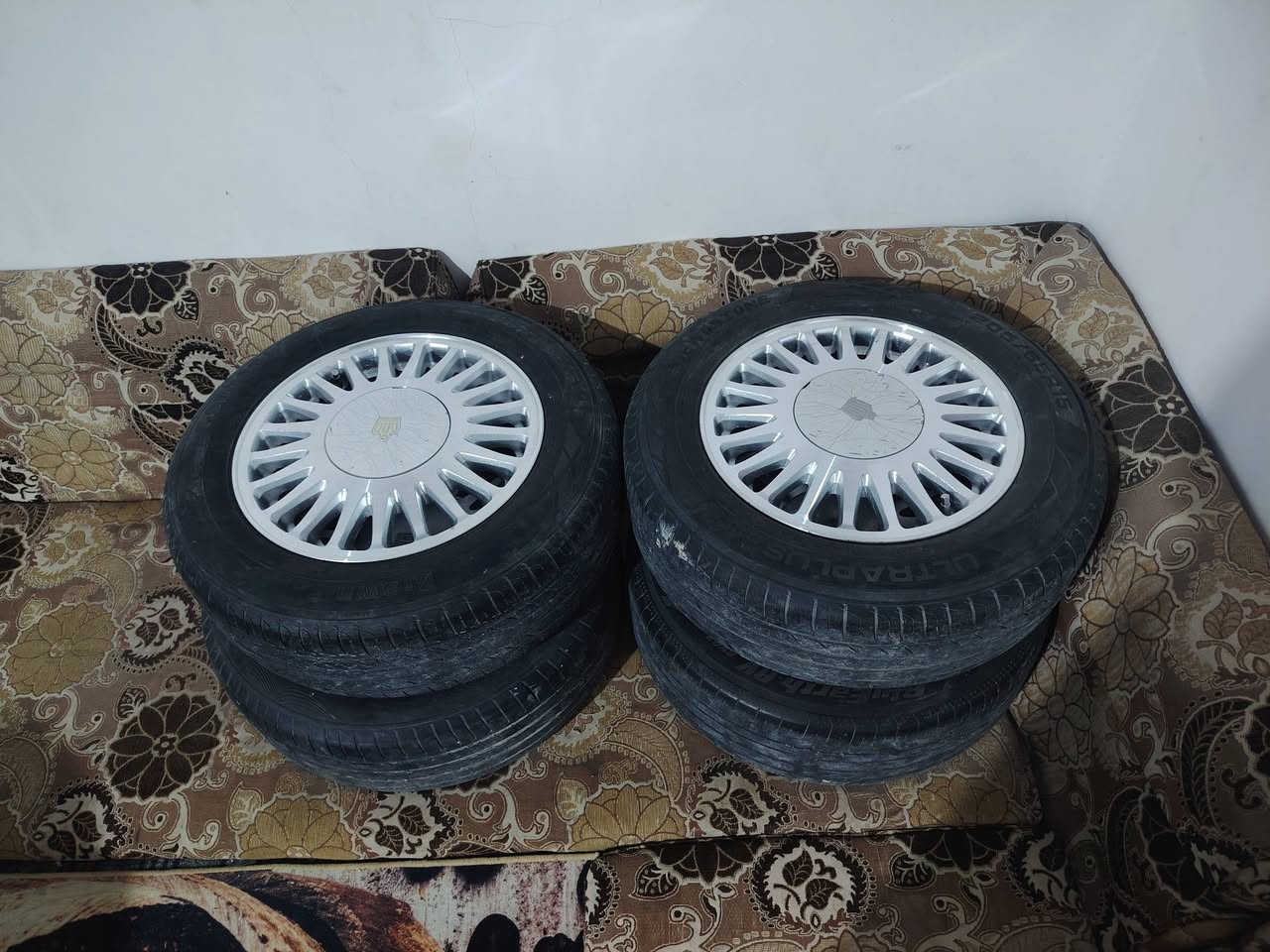 تخم ويلكب راس ثور فلات  مكان بصره زبير  250  ***********
