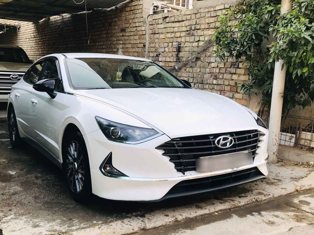 السلام عليكم
سوناتا موديل 2020وارد خليجي 
مكفوله كفاله عامه ماعدا بيه شويه بارد
محرك 2500
سياره بيت كامله 
السعر 180وبيه مجال 
رقم ‏‪***********‬‏
بغداد حي الجهاد
