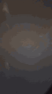 ماكس • سكوتر • للبيع