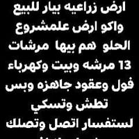 07891983697