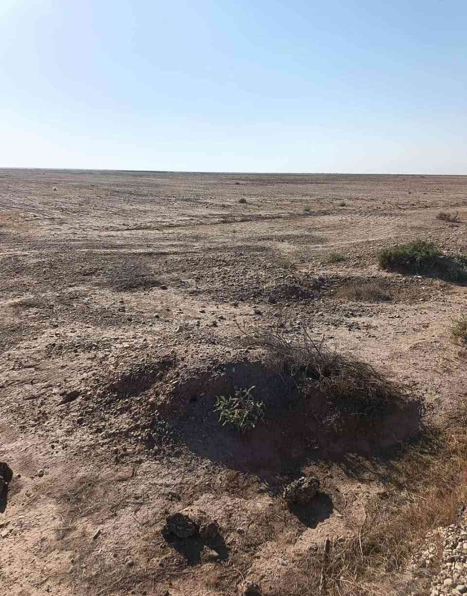 سلام عليكم ارض زراعيه للبيع 500 دونم عقد في واسط عل حدود  بيه كهرباء وبيه بيت وبيه 4 ابار ماء مجازات من دوله اي استفسار اتصل عل رقم
***********
