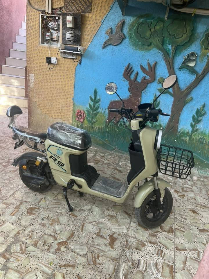 R9 موديل 2026  بطاريات 32 دراجه كفاله ماشيه الف  السعر 450 المكان المشراك القديم قراضه كامله 
***********
