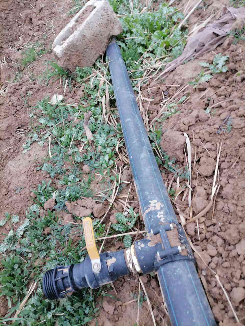 صوندة 3انج نوعية اصلي للبيع
طول 95 نظيفة بيهة خمس كاكات تكدر تستخدمهن وتكدر تسدهن
***********
