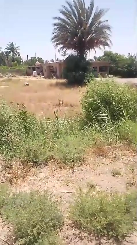 دونم ناقصه ٥٠٠ متر اصير دونم سعره مناسب 
شارع العام غريب عليه مكان قطعه بغداد موصل الدجيل 

سند ٢٥
خدمات كهرباء تبليط

***********
