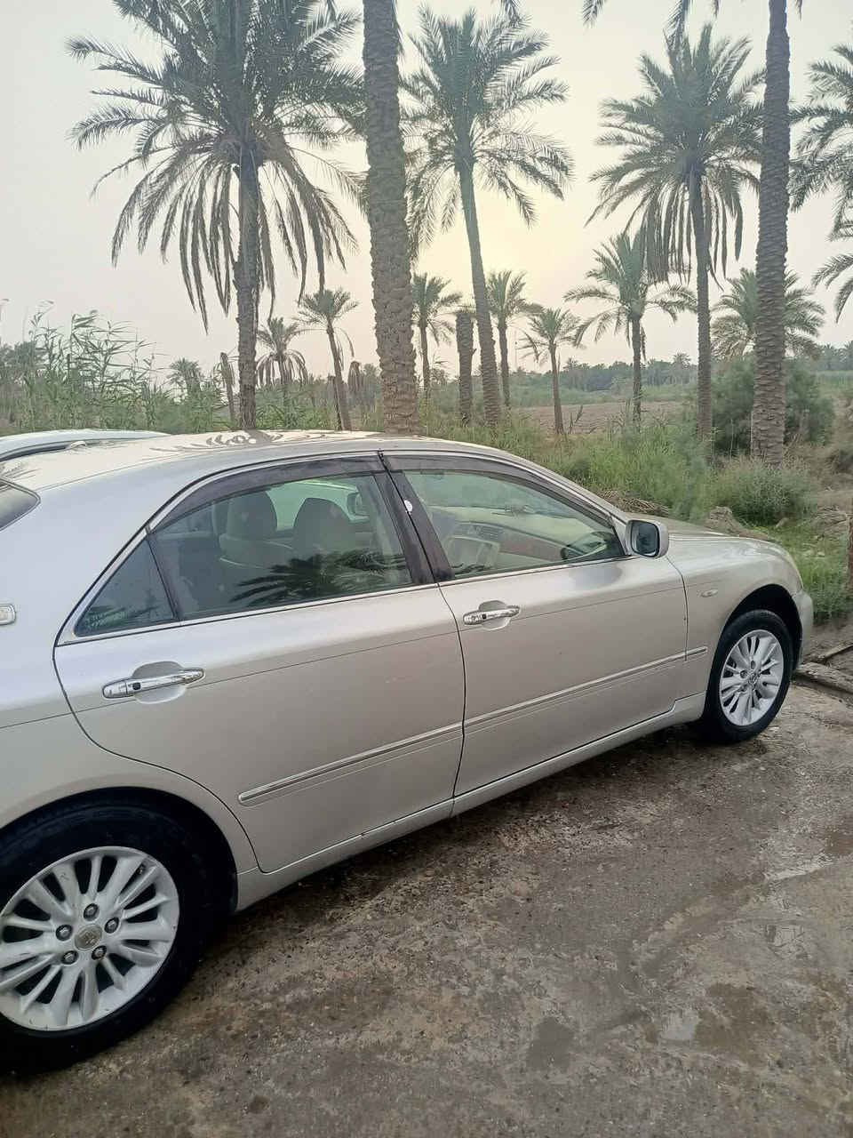 للبيع شاهينه السياره بيع او مراوس
بيه كص جنطه بصمه سوده
مواصفات السياره 
2 دكم
تبريد ثلج سبلت دوار
كشنات كهرباء كلهن داخل بيجي مخمل
6بصمات
 إشارة ترحيب عنده الاقتراب 
كير 6 نمر
 مثبت سرعه 
 كشنات كهربائيه
شاشه
 مكان السياره ناصرية سوق الشيوخ 
السعر 31
للإستفسار ***********
