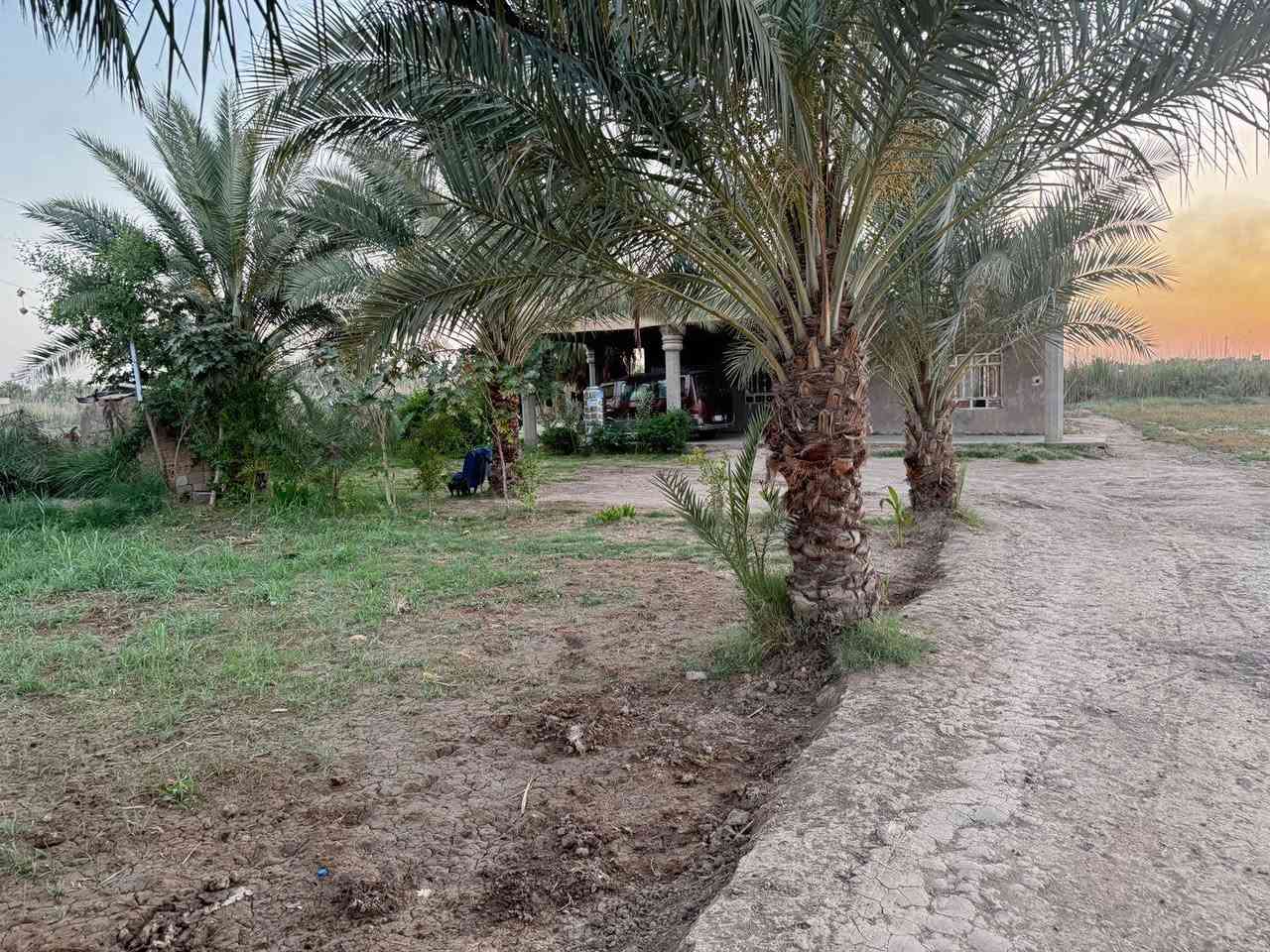 السلام عليكم دونم للبيع يحتوي على دار حديث البناء 
في طريق الجبلاوية تحويل مباشر بسم المشتري سند 25

***********
