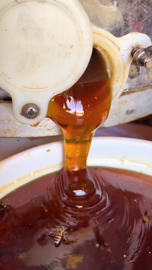 يـوجد عسل طبيعي البيع وشرط
***********
