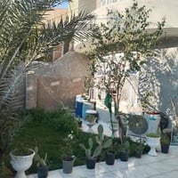 طابو زراعي • حي الجزائر • ٢٧٥م