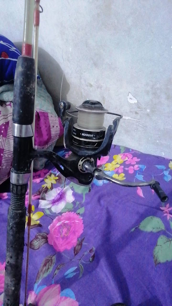 عده مال صيد كامله جنطه سحابين طول 135 سم سبنر 240 سم جلاتين مسلح بيهة ضرر حلقه الحساس السيراميكه واكعه مع مكينه حجم 6000 مستعمله و سبنر ثانيه مره وحده نازل بيهة للصيد كاربون قطعتين 270سم مع مكينه جديده وباكيته موجود حجم 7000 خيط جديد ابوكابار حجم 50 مشدود بيهة 100 متر
عنوان بعقوبه الكاطون رقمي ***********
