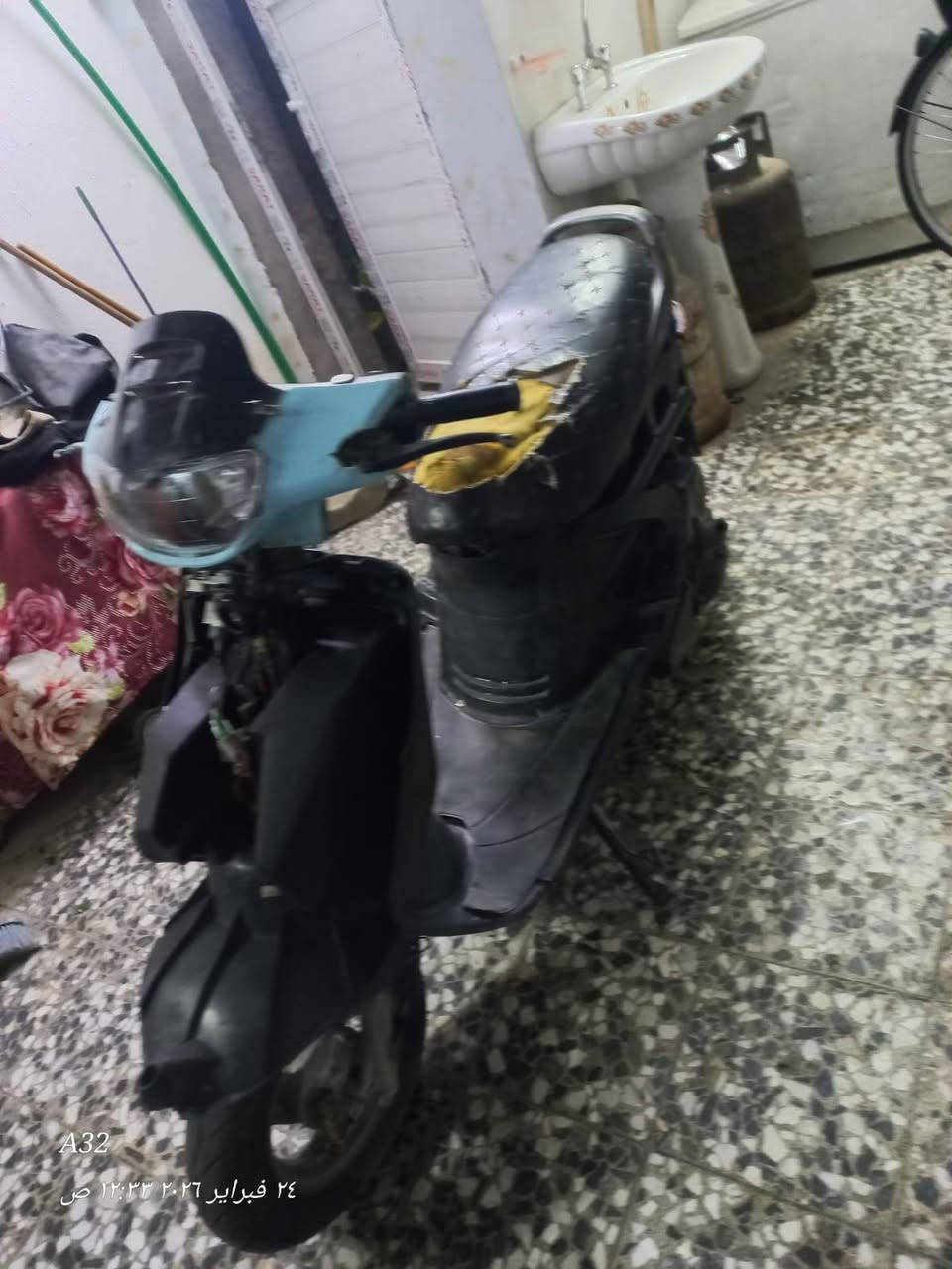 فراشه للبيع فحل كامله تخبل نكره سلف ماعايزه سعر خاص او اتصل *********** مكان نجف
